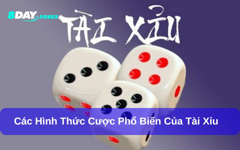 Các hình thức cược phổ biến của tài xỉu