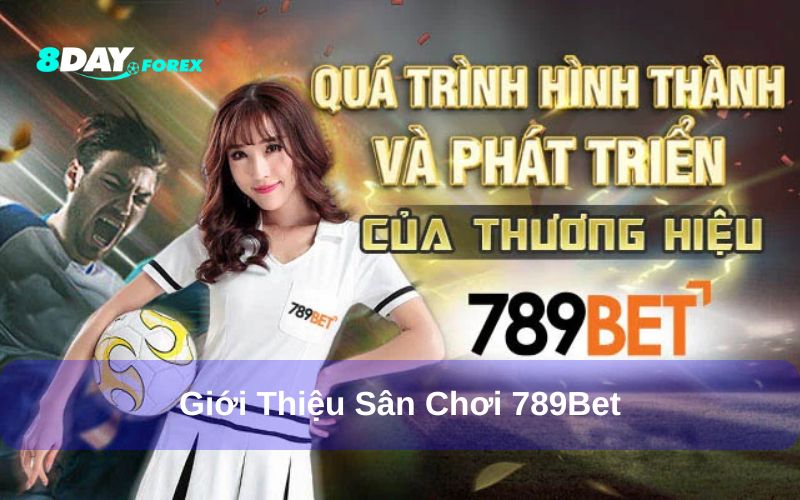 Tổng quan về sân chơi 789Bet