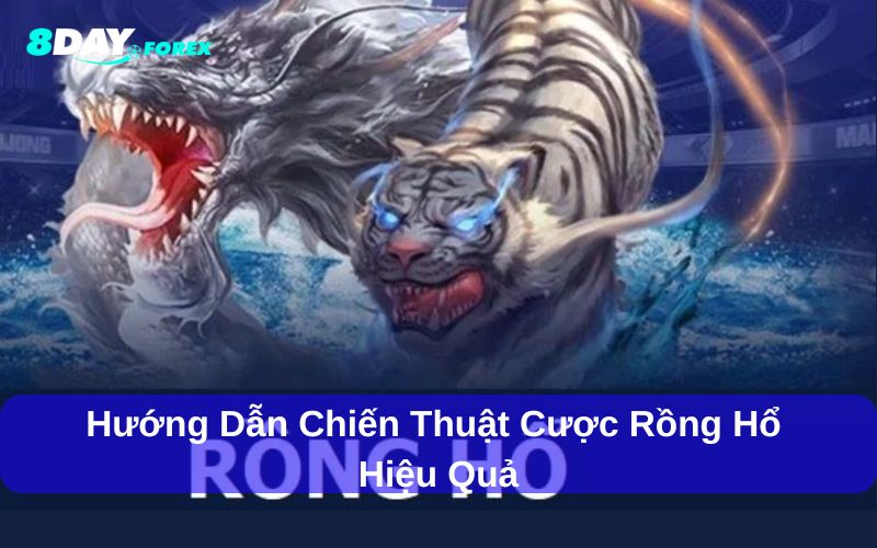 Hướng dẫn chiến thuật cược Rồng Hổ hiệu quả